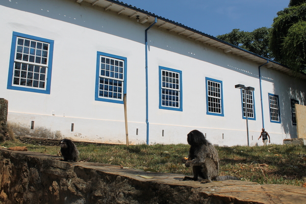 ICChs